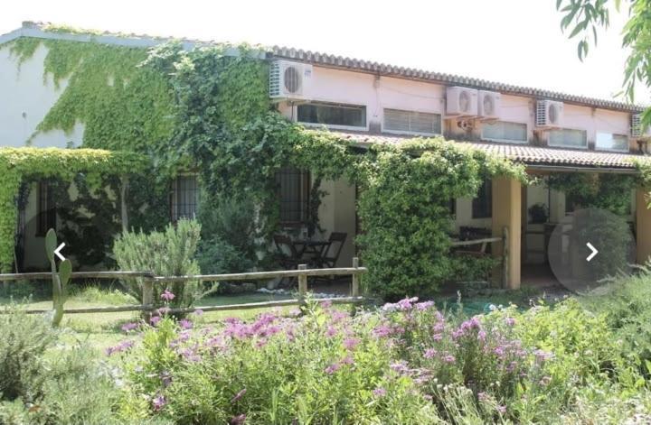 Il Piccolo Borgo Apartment *