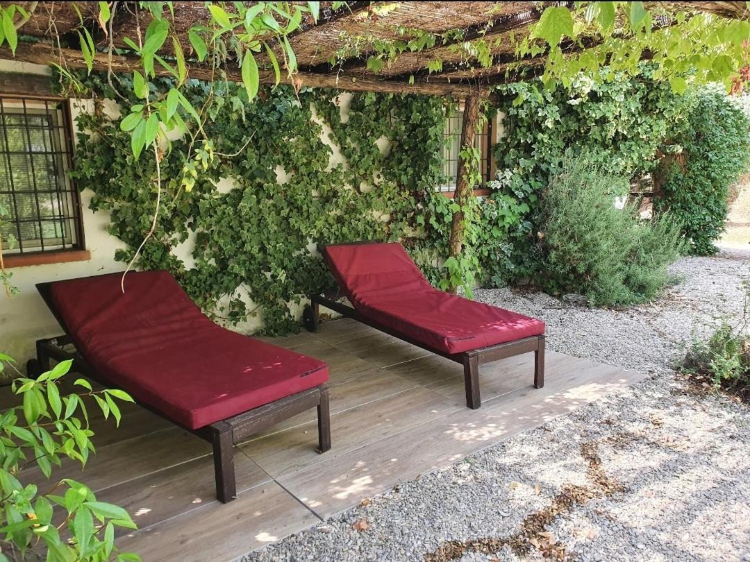 Apartment Il Piccolo Borgo Montalto di Castro